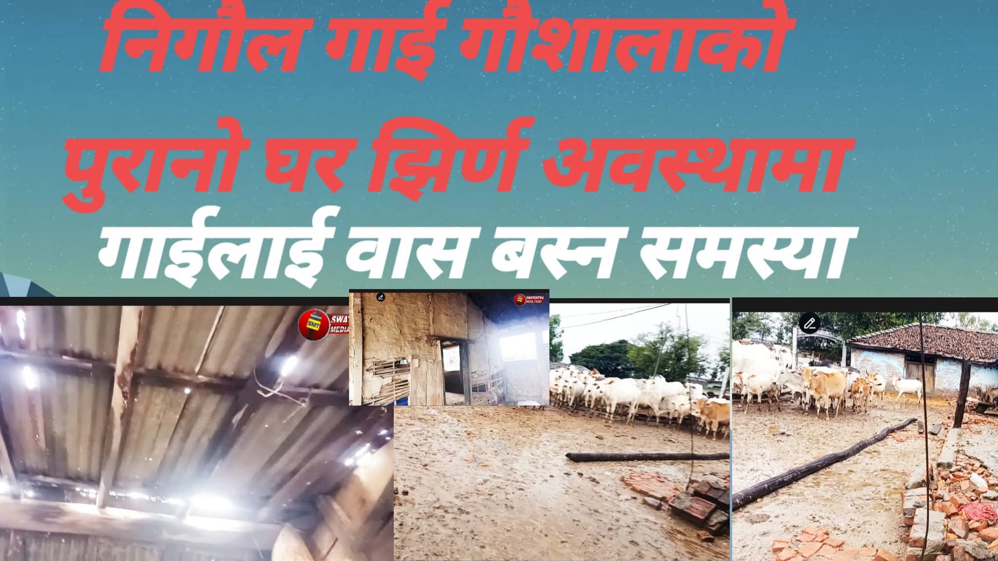 निगौल गाई गौशालाको जग्गा र कर्मचारीमाथि छानबिनको माग तीव्र