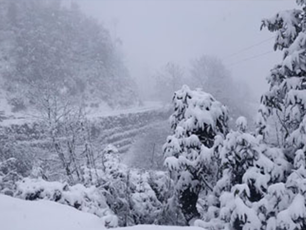 आजको मौसम अपडेट: पहाड–हिमालमा बदली र वर्षाको सम्भावना, तराईमा घाम
