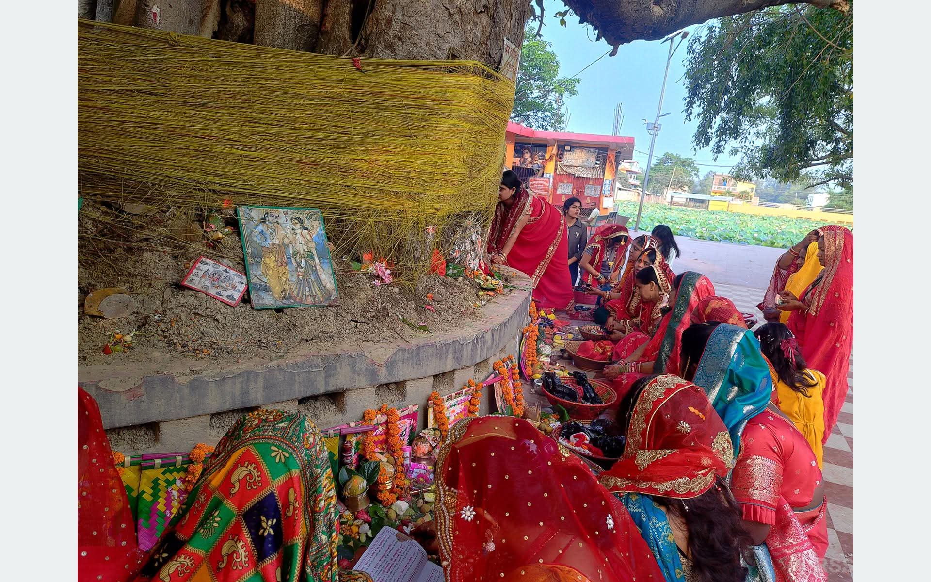 मिथिलामा आज श्रद्धा र उत्साहका साथ ‘बर्साइत’ पर्व मनाइँदै